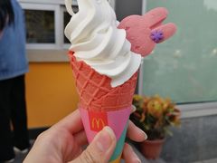 -麦当劳(花园北路店)