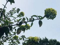 -杭州西湖风景名胜区-钱祠表忠