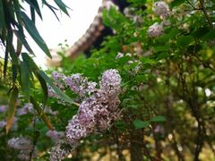-三里河公园
