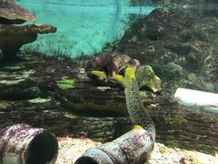 -北戴河圣蓝海洋公园