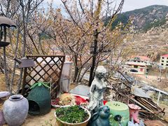 -荒度咖啡(北九水店)