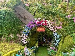 -沂蒙云瀑洞天景区