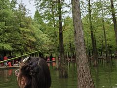 -泗洪洪泽湖湿地景区