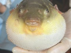 -永安鱼庄·镇江菜(丁卯店)