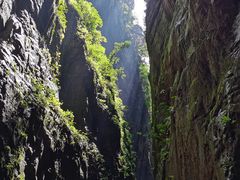 -武陵山森林公园