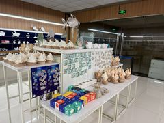 -青岛贝壳博物馆