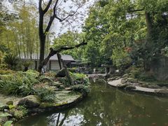 -南山植物园