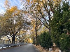 -北京十三陵国家森林公园蟒山景区