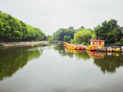 -泰州凤城河风景区-泰山公园