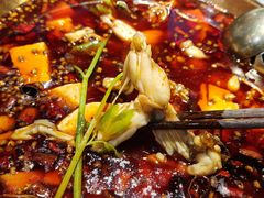 -蛙蛙鸡冷锅鱼(驷马桥店)