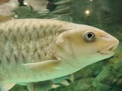 -上海海洋水族馆