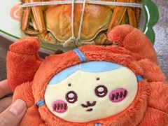 -黄记大闸蟹专卖店·活蟹·醉蟹