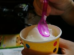 -莓园冰淇淋店