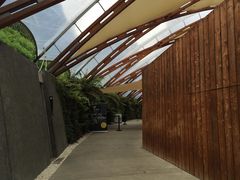 -怀托摩萤火虫洞