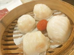 金牌虾饺皇-点都德(大茶楼店)