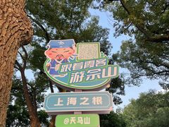 -上海佘山国家森林公园天马山园