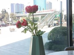 -必胜客(金开大道店)