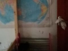 -巢爷老味(东方红店)