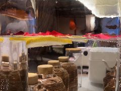 -小隐人家(乐松店)