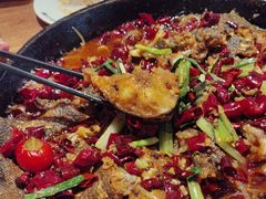 -老板恋上鱼(恒隆广场店)