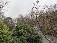 -龙井壹号·茶缘山景宴(龙井村店)