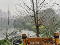 -重庆彩云湖湿地公园