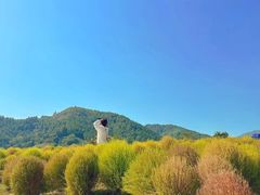 -径山花海