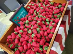 -幻贝家儿童乐园(苏州中心店)