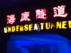 -太平洋海底世界