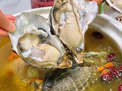 -金龙·打边炉(南京西路店)