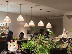-雲說·花(西宸天街店)