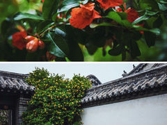 -戚继光故里