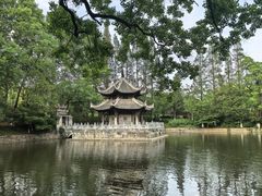 -习家池