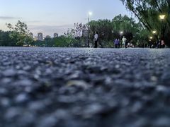 -朝阳公园