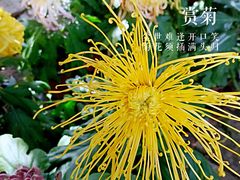 -汇龙潭