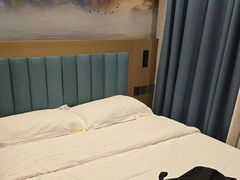 -龙禧盛精品酒店(天津西站店)
