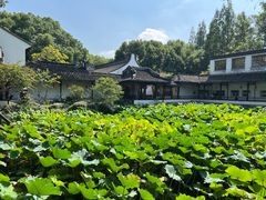 -上海醉白池公园