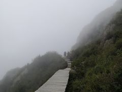 -白草畔自然风景区