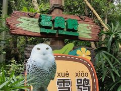 -广州长隆野生动物世界