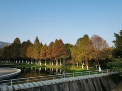 -厦门国家会计学院