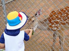 -长白山万达喜来登度假酒店