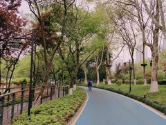 -月湖风景区
