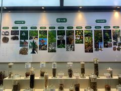 -广东中医药博物馆