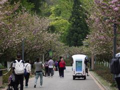 -贵阳市花溪国家城市湿地公园