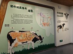 -君乐宝优致牧场