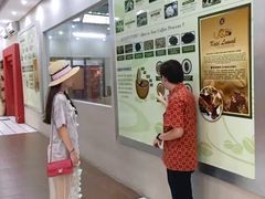 -巴厘岛黄金金兔咖啡工厂
