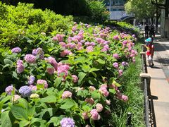 -常州古运河南大街文化旅游区-人民公园