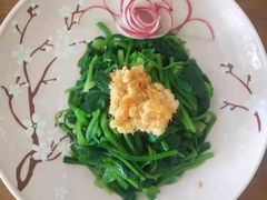 -爱月宝月嫂·育儿嫂(哈尔滨总店)