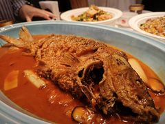 -阿五黄河大鲤鱼(英协路店)