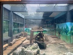 -昆明动物园